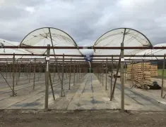 Posts for Shade Structures